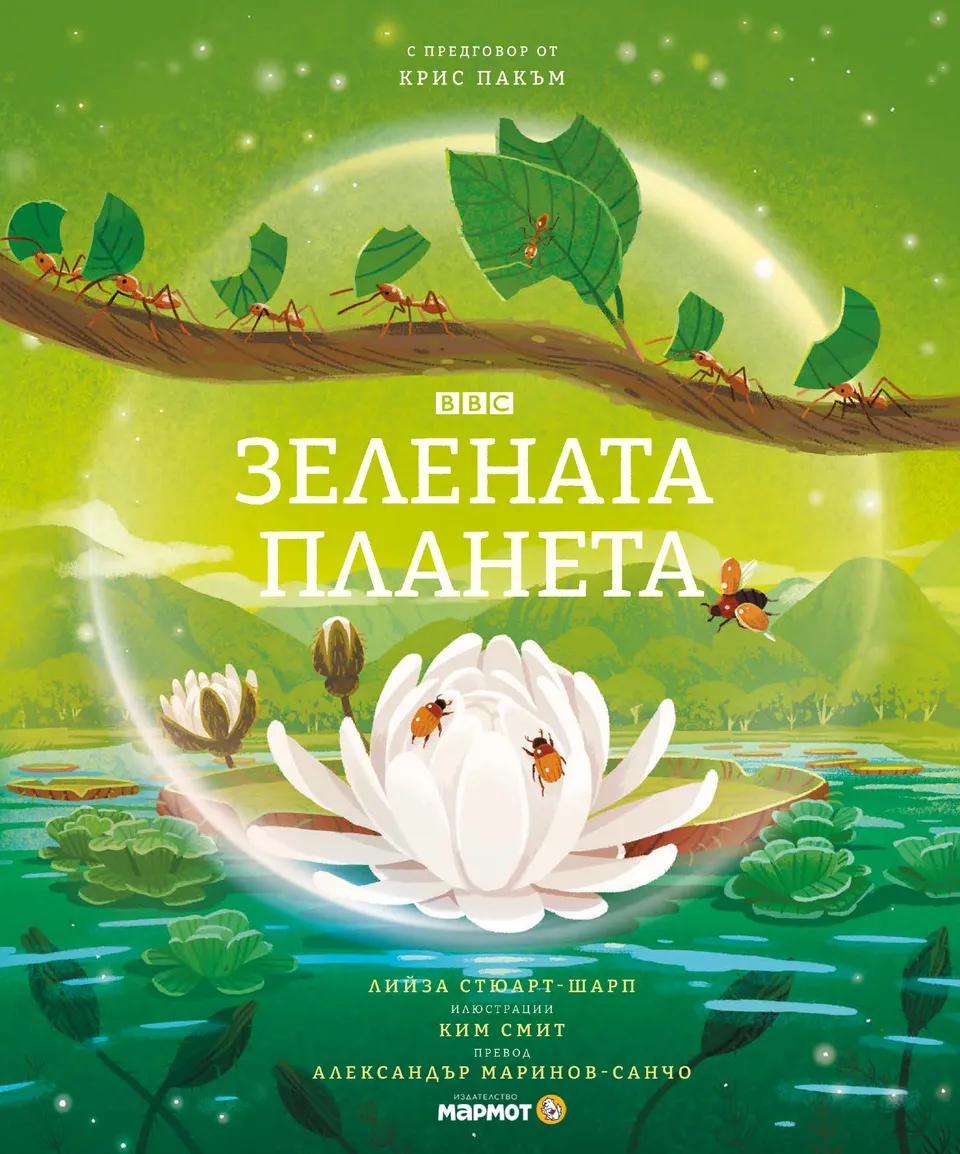 Страница 1 от 18